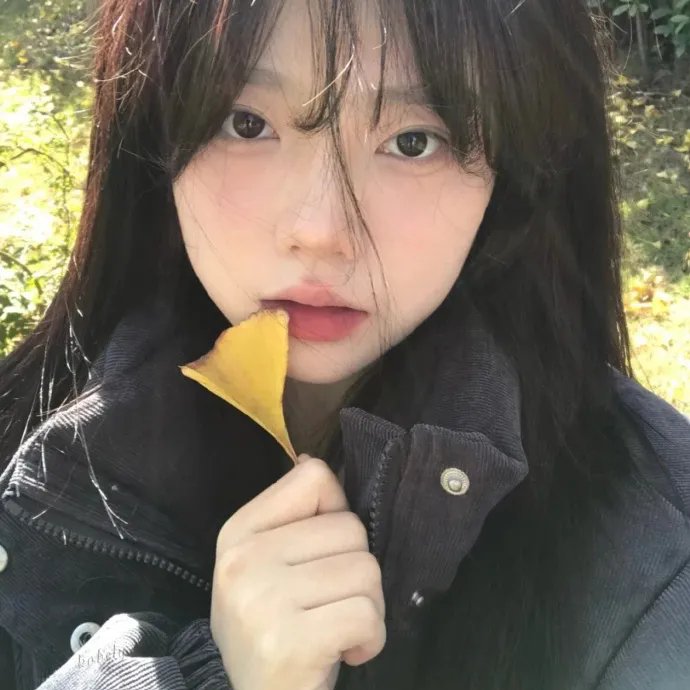 问簪